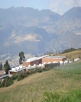 Imagen de casas rodeadas de zonas verdes. 