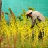 Protección ambiental y Legalización de Barrios, entre las propuestas de la ruralidad de Usaquén para el POT