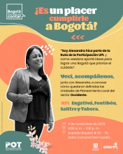 Jornada de devolución Unidades de Planeamiento Local Sector Occidente