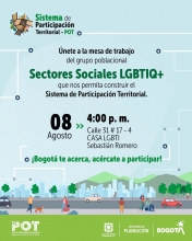 Sistema de Participación Territorial  - Sector LGBTIQ+