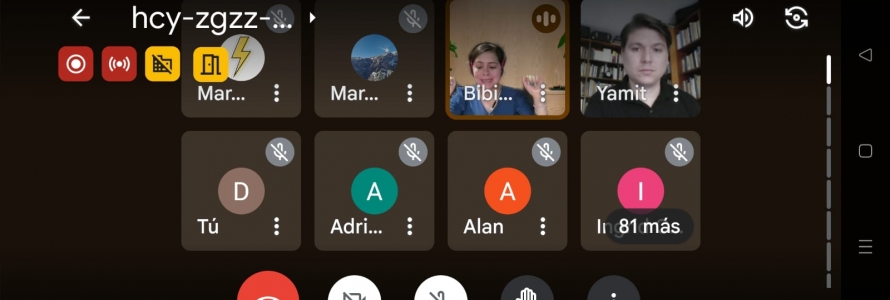 Captura de pantalla de la socialización virtual correspondiente al Sistema Distrital de Cuidado.