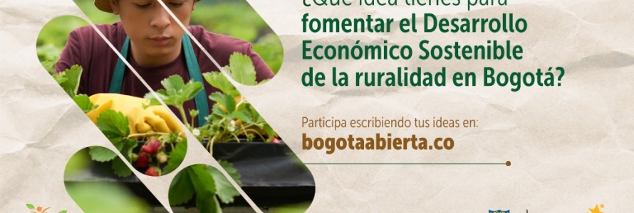 ¿Qué idea tienes para fomentar el Desarrollo Económico Sostenible de la ruralidad en Bogotá?