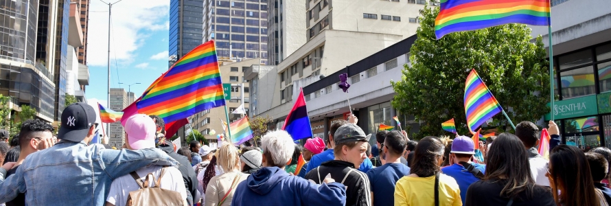 Marcha diversidad, banderas LGBTI
