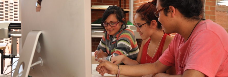 Participación virtual PDD