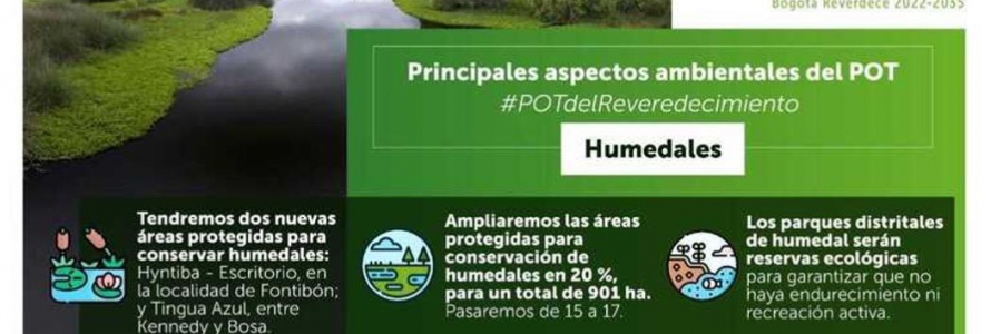 Imagen humedal