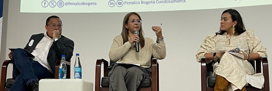 Subsecretario de Políticas Públicas, y Planeación Social y Económica, en encuentro Bogotá y Cundinamarca.