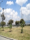 Imagen de un parque con zonas verdes y árboles, al lado izquierdo un paso peatonal en adoquín 