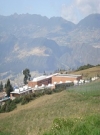 Imagen de casas rodeadas de zonas verdes. 